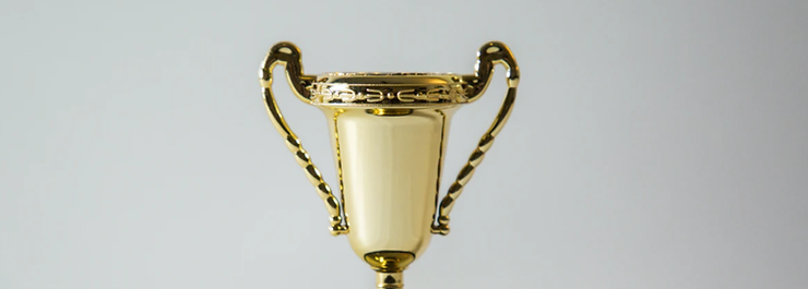 2019 Nominations and Wins